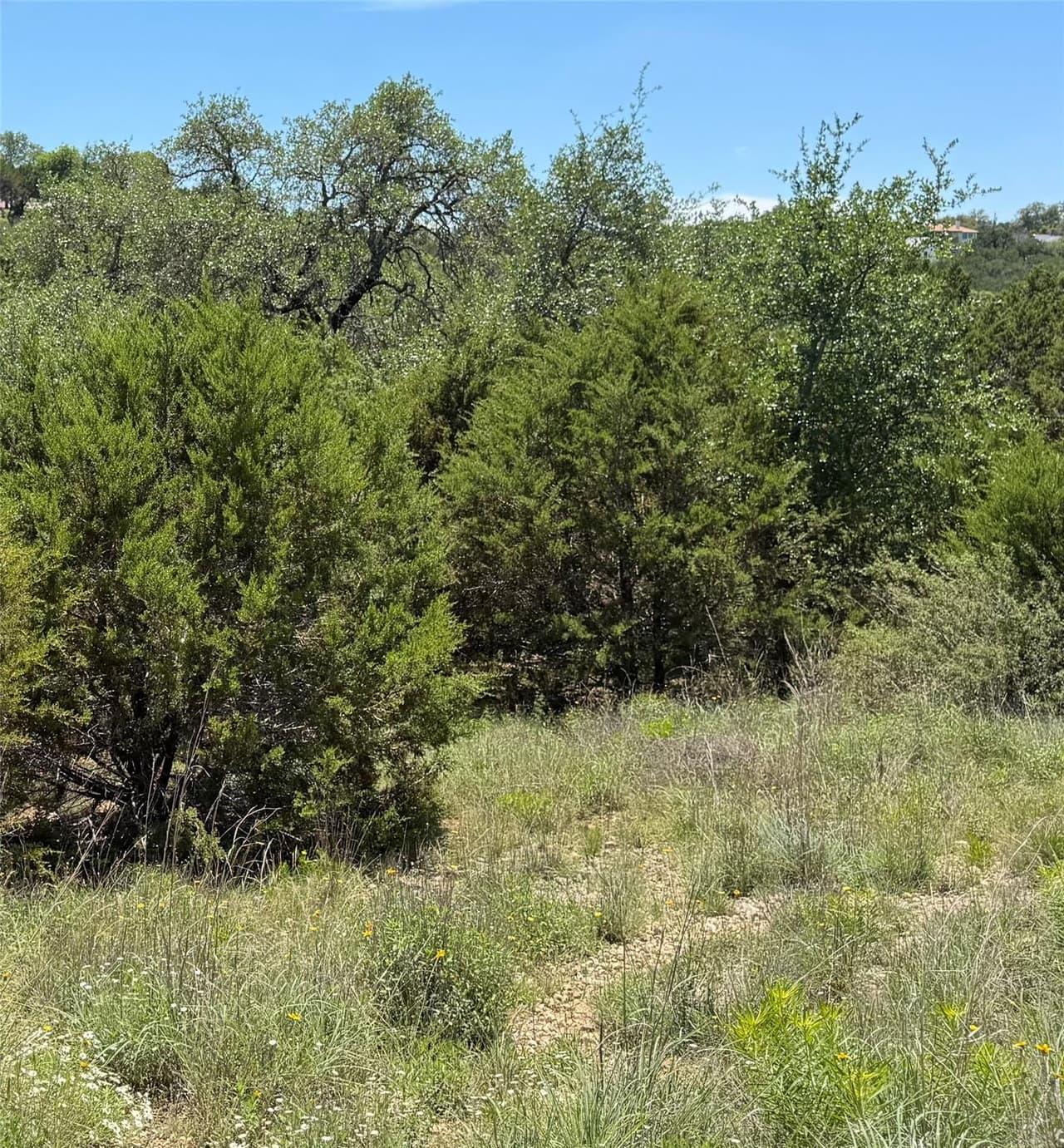 4706  Outpost Trce photo 6