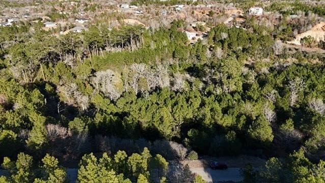 Lot 858  Mamalu Dr photo 3