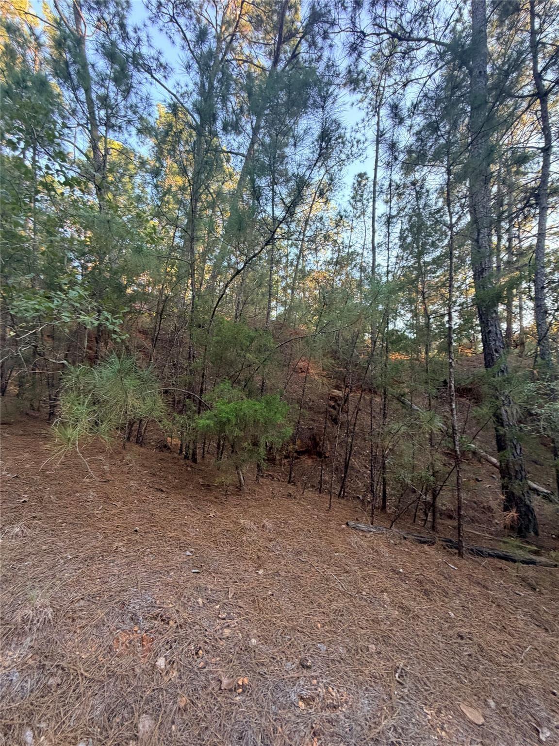 TBD  Okoe Ct photo 2