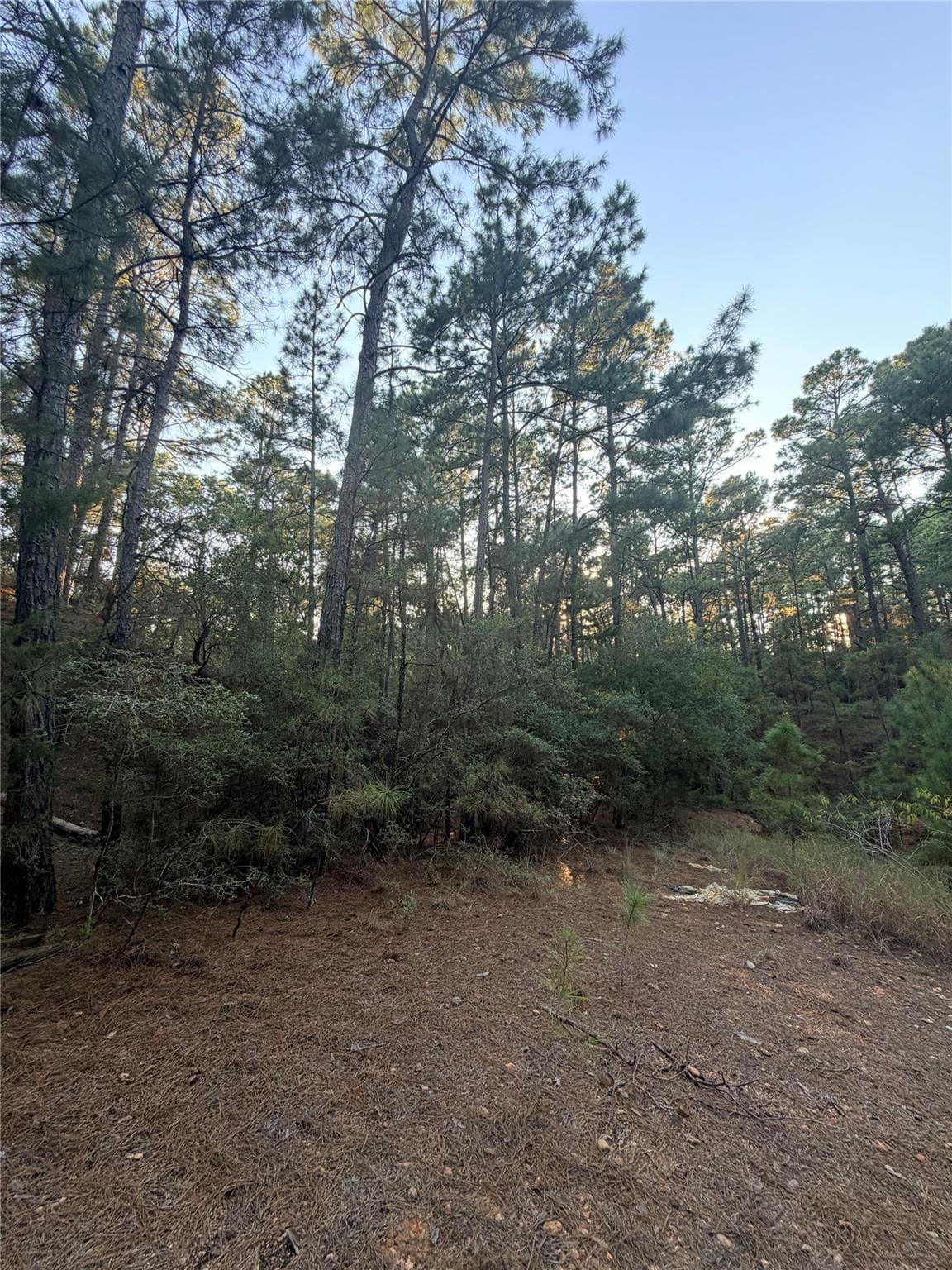 TBD  Okoe Ct photo 5