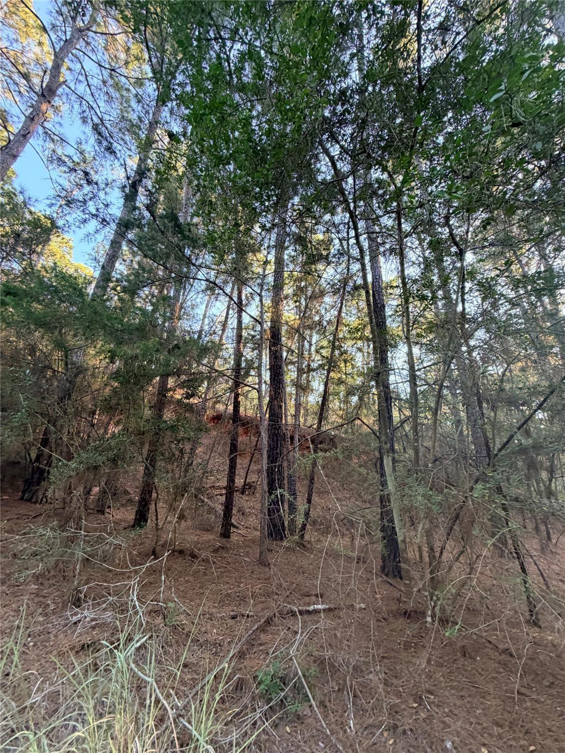 TBD  Okoe Ct photo 6