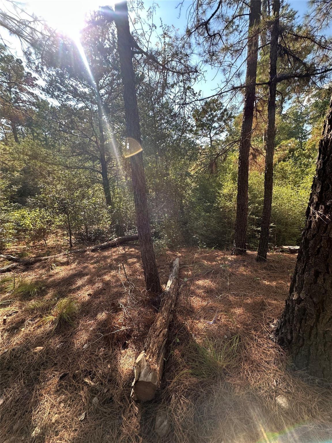 0  Pine Oak Dr