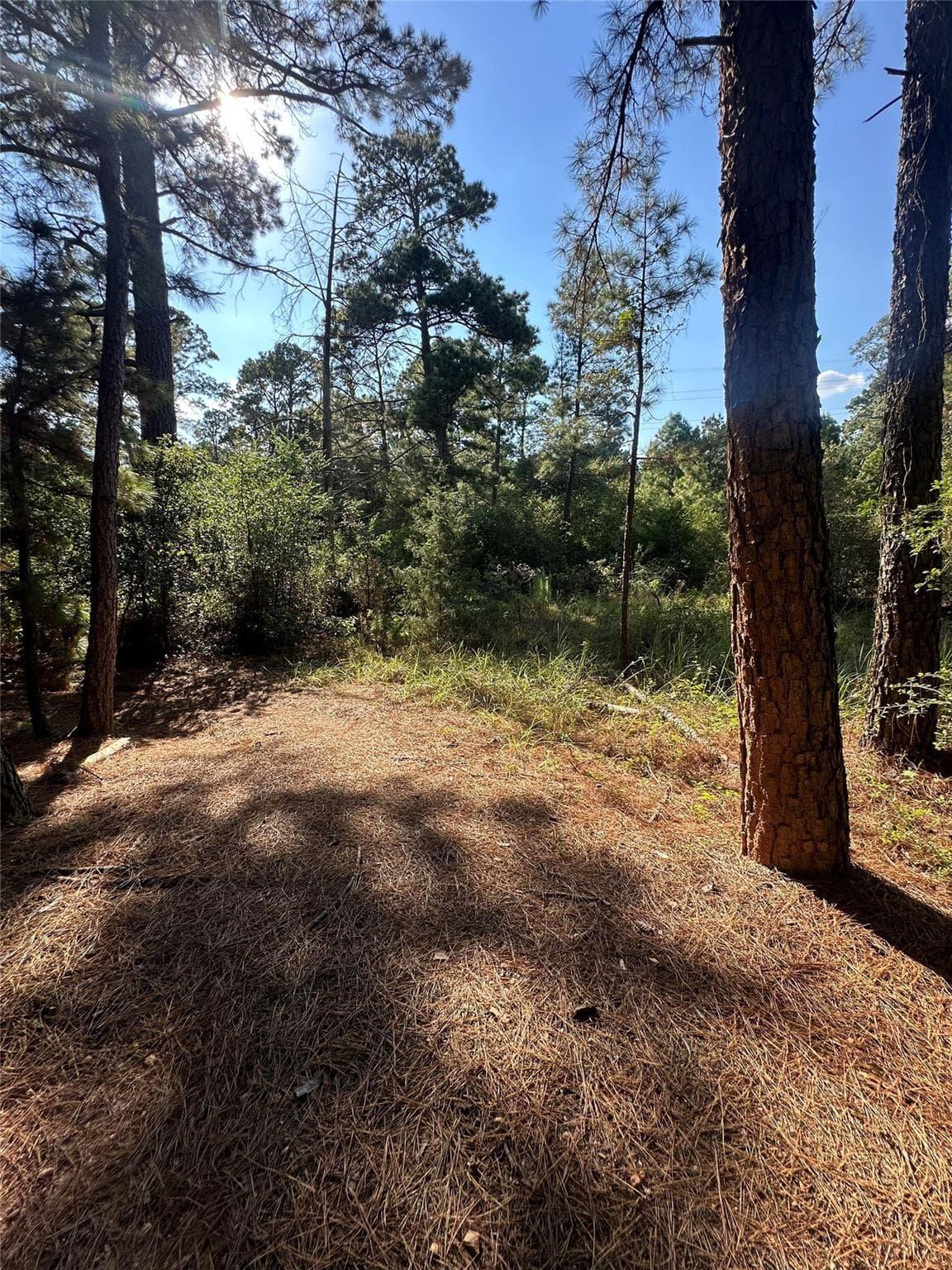 0  Pine Oak Dr photo 2