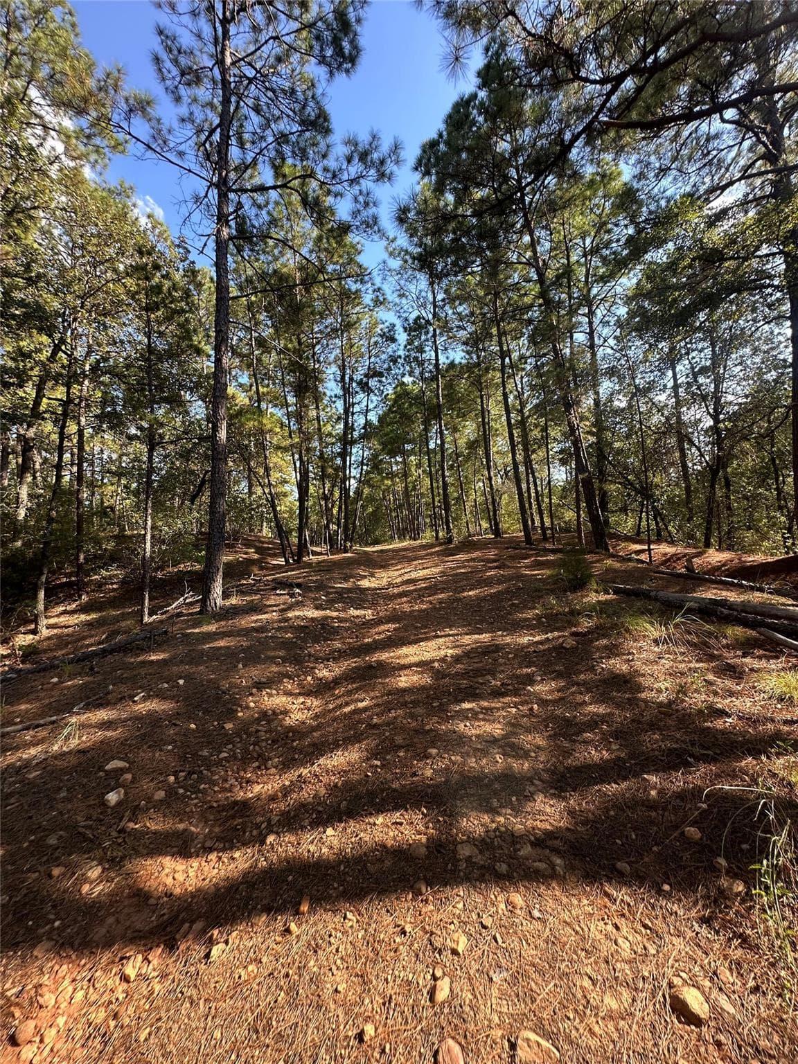 0  Pine Oak Dr photo 3