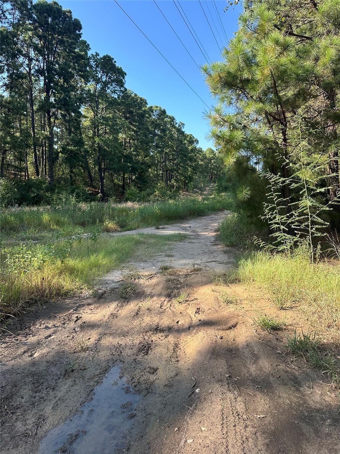 0  Pine Oak Dr photo 4