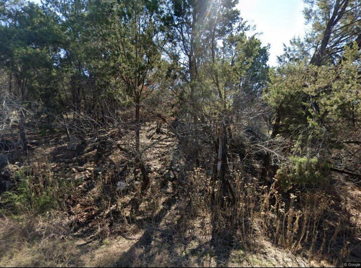 20203  Collier Ln photo 2