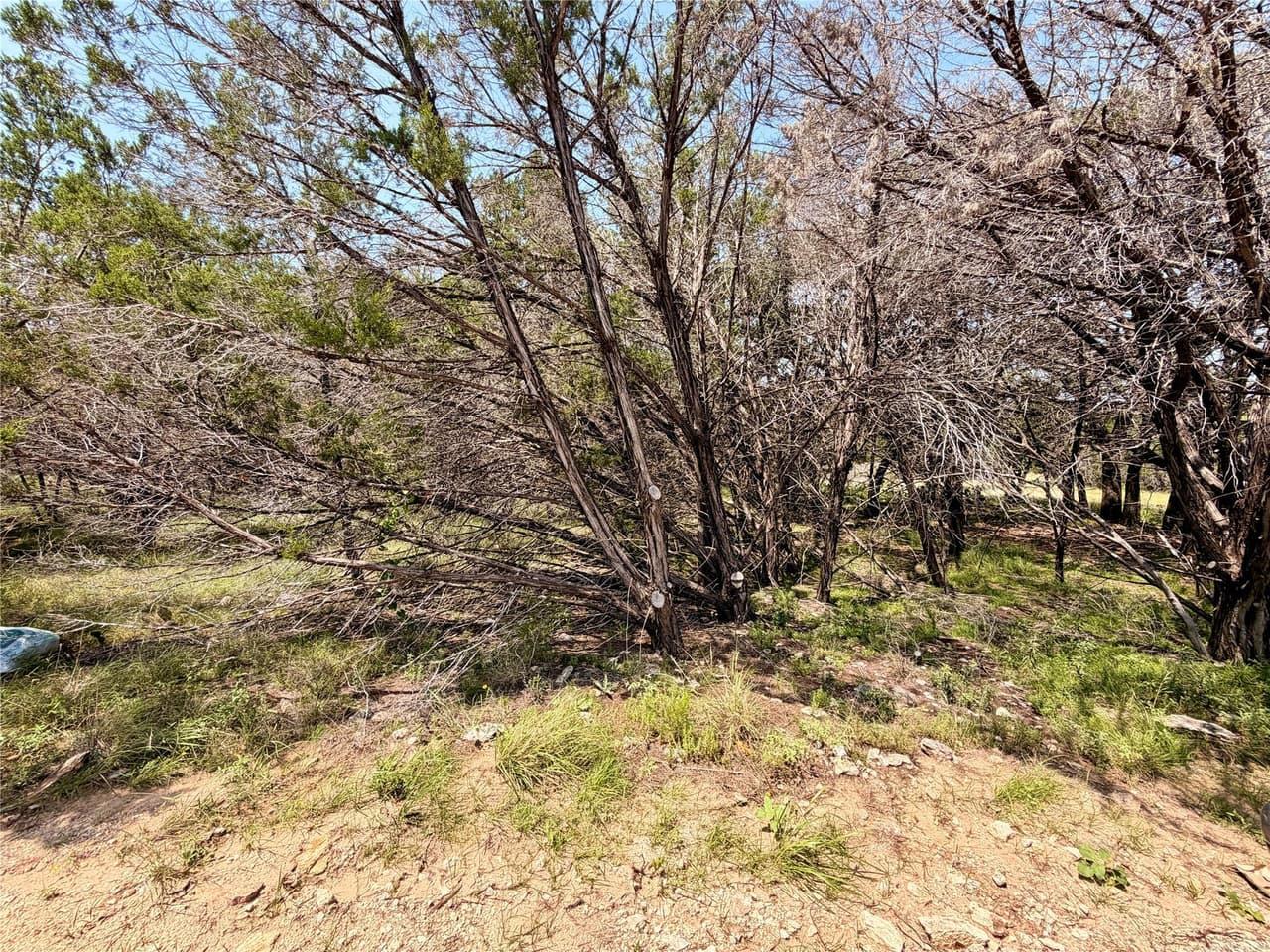 21807  O'Henry Ave photo 5