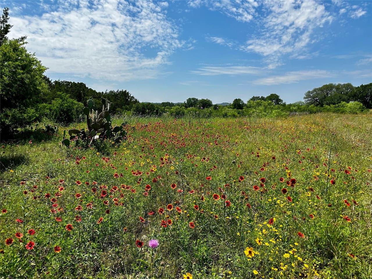 Lot 5  Colorado Canyon Dr photo 5
