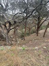 3705  High Line Dr photo 2
