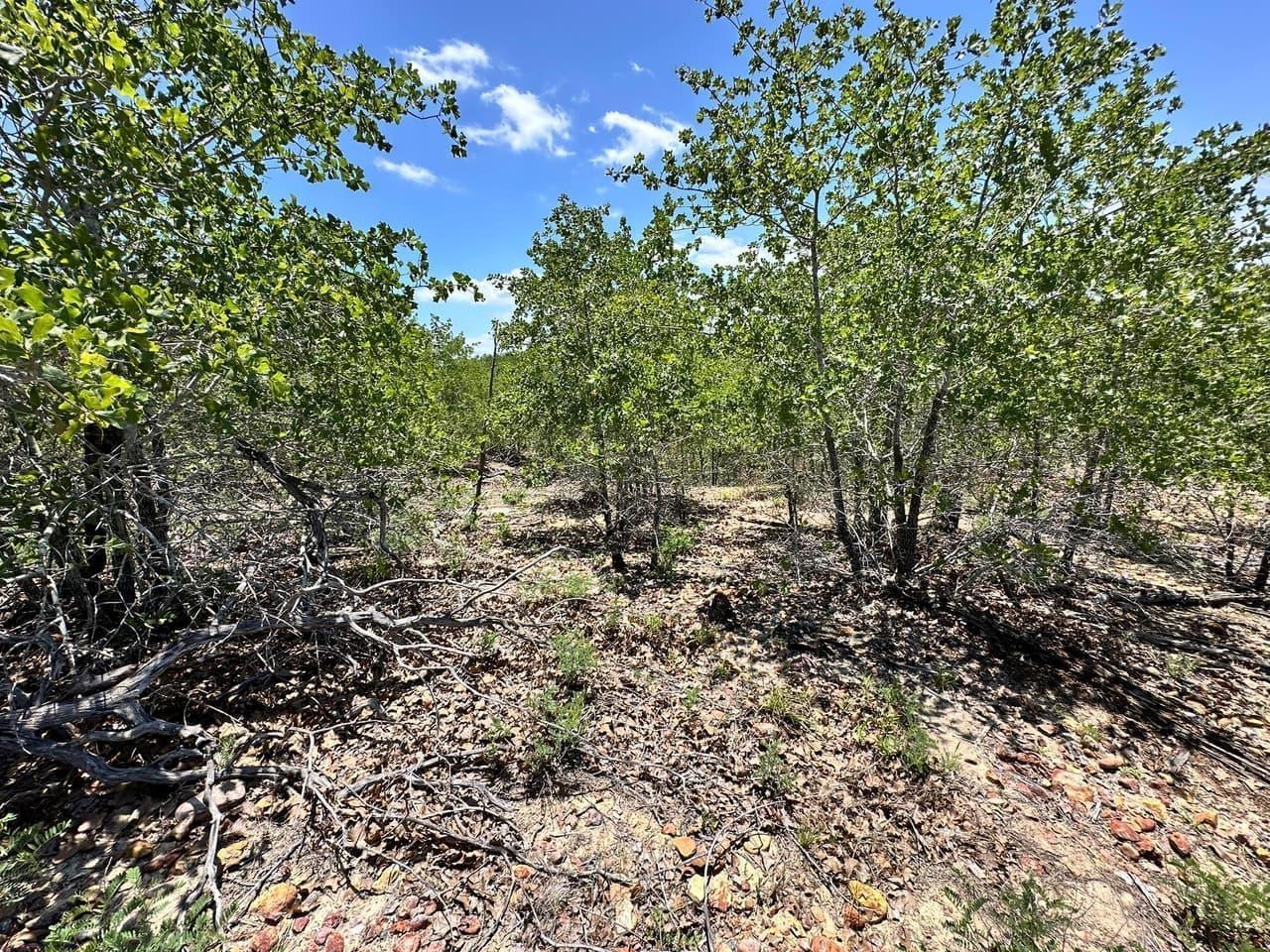 TBD  Manawianui Dr photo 3