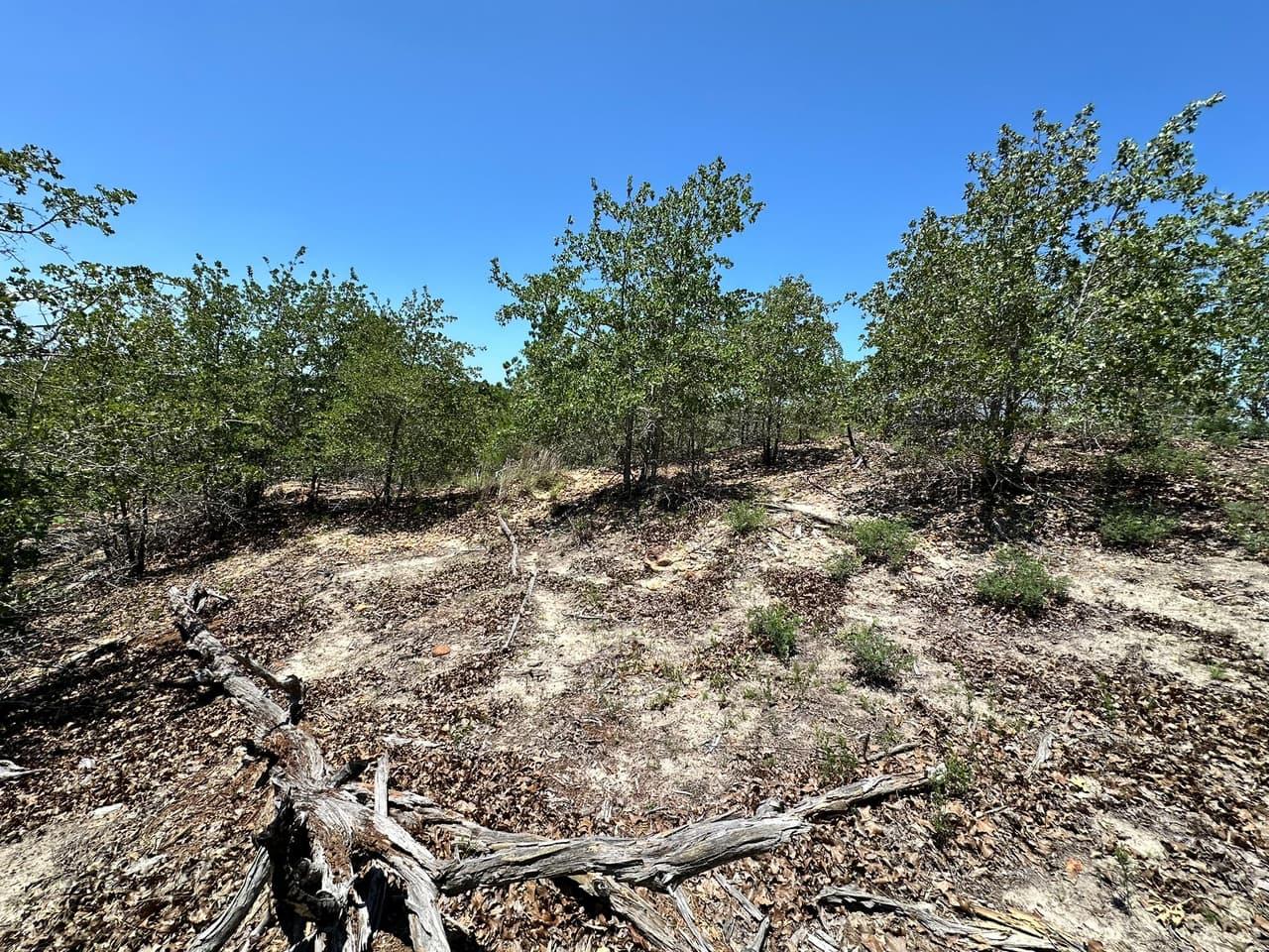 TBD  Manawianui Dr photo 5