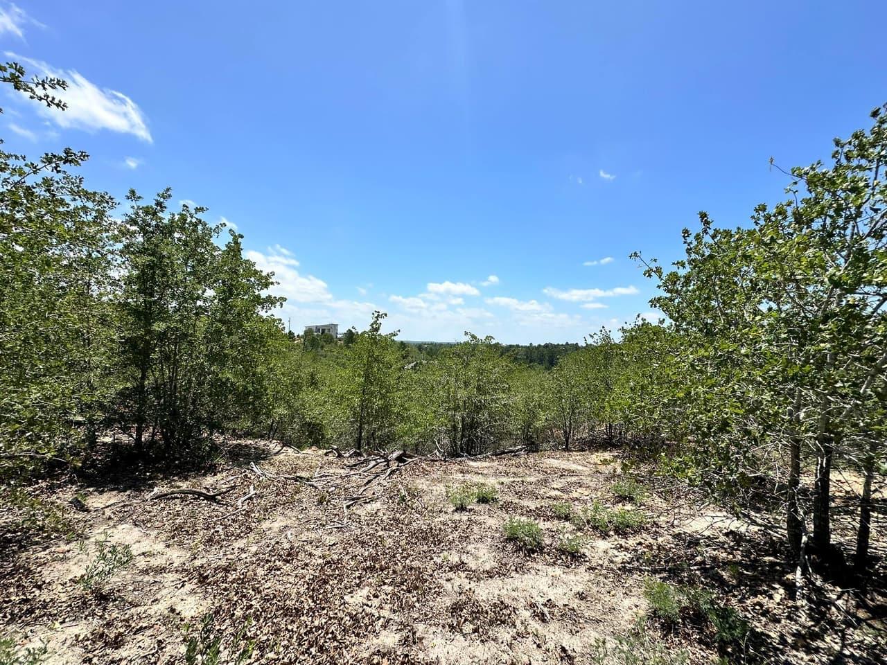 TBD  Manawianui Dr photo 6