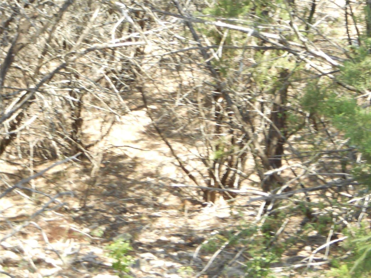 21000  High Dr photo 6