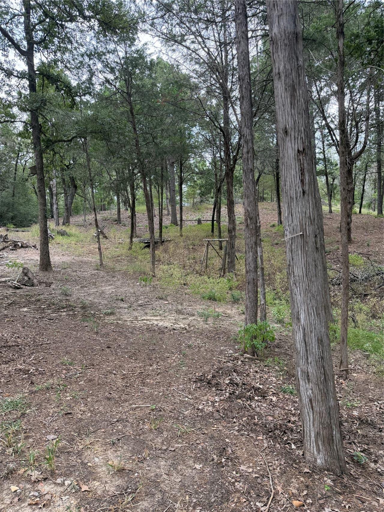 Lot 289  Aka Ct photo 3