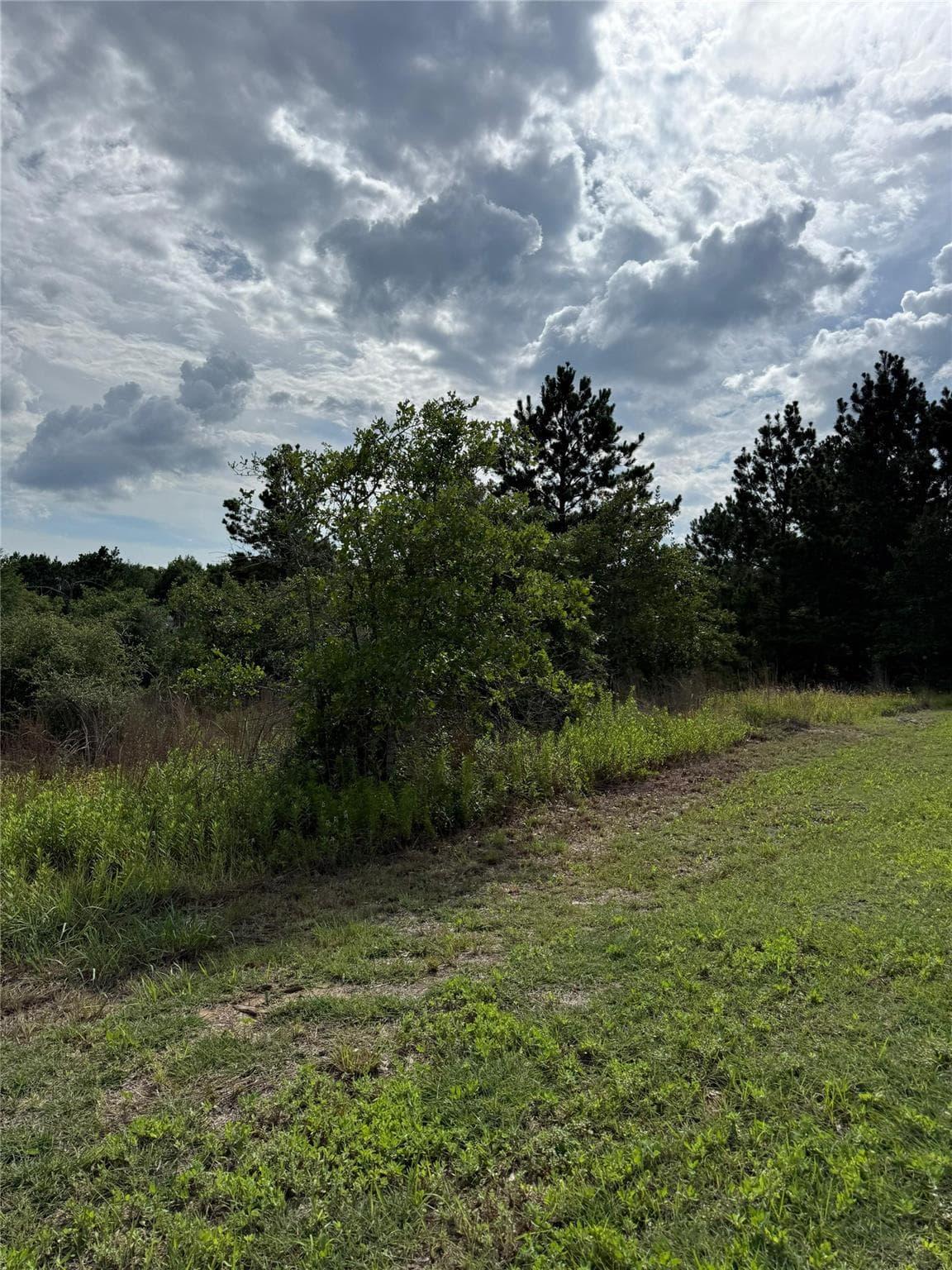 Lots 89-90  Pintail Ln photo 5
