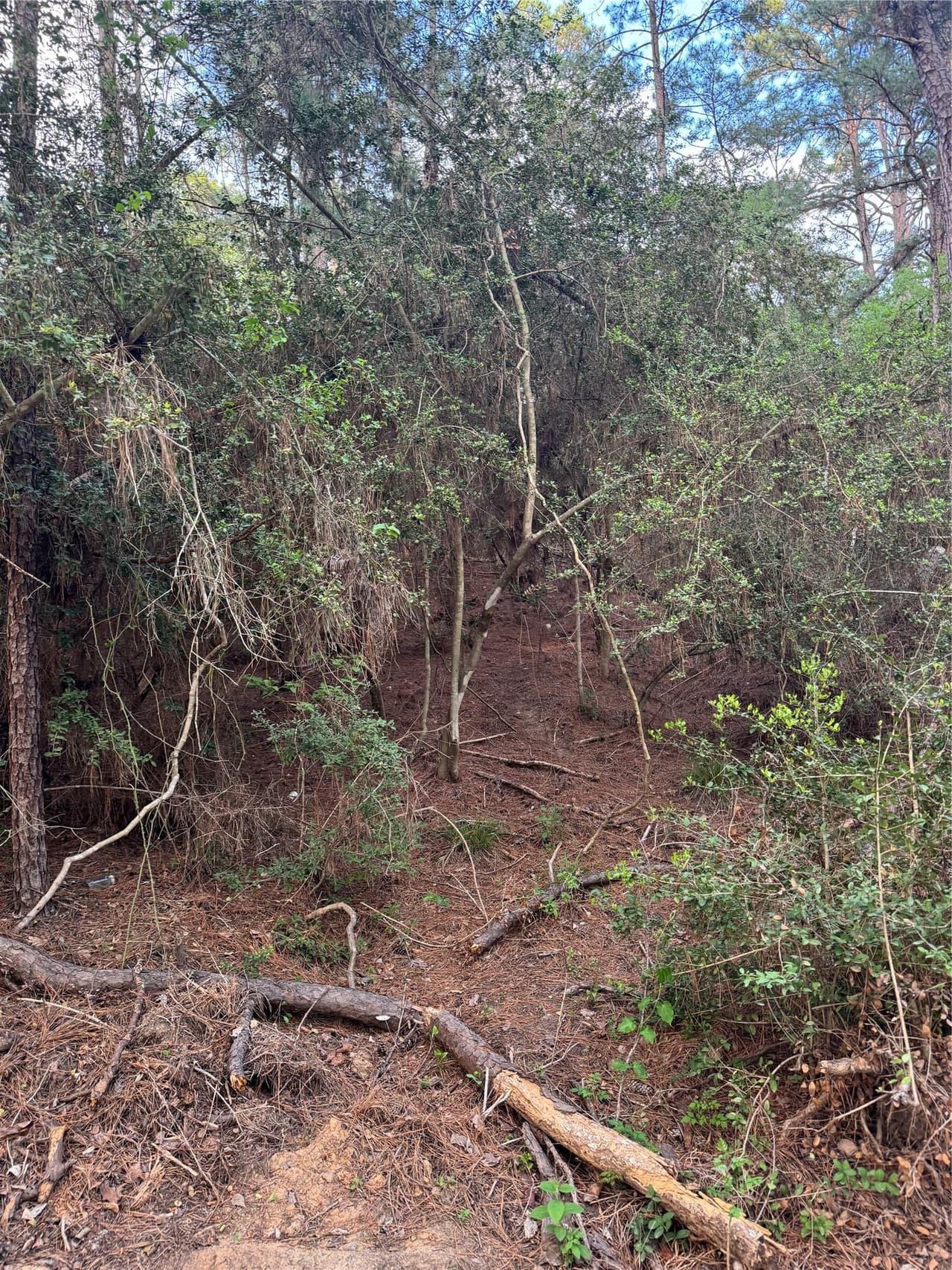 Lots 158 and 159  Hekili Dr photo 3