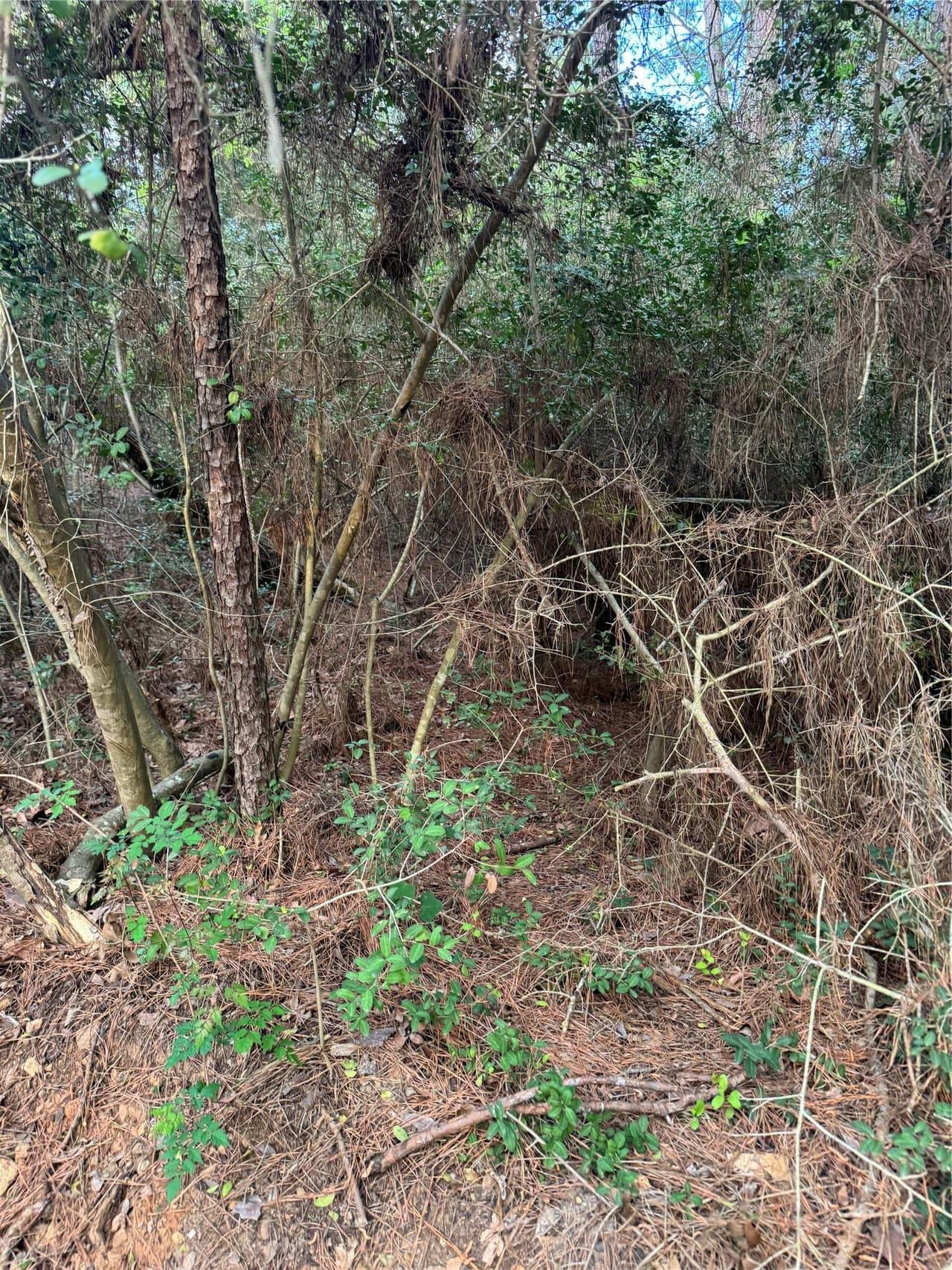 Lots 158 and 159  Hekili Dr photo 4