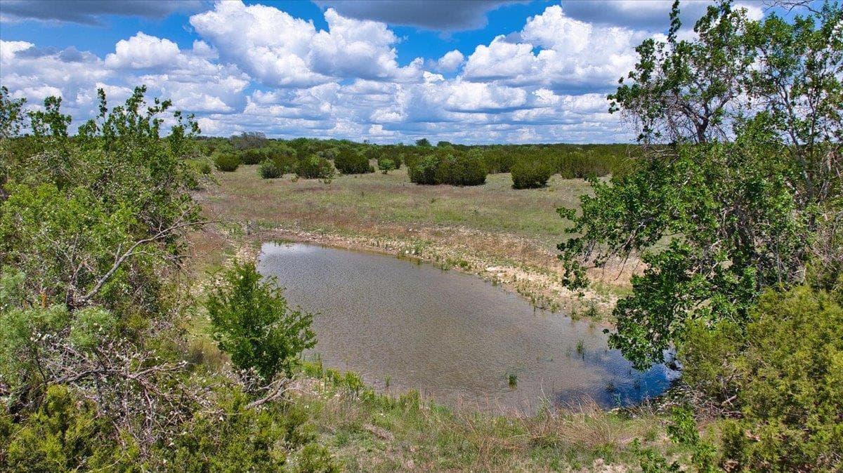 4220  County Road 202 None photo 5