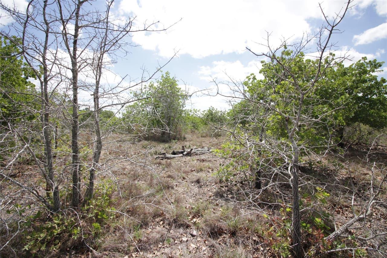 TBD  River Forest Dr photo 3