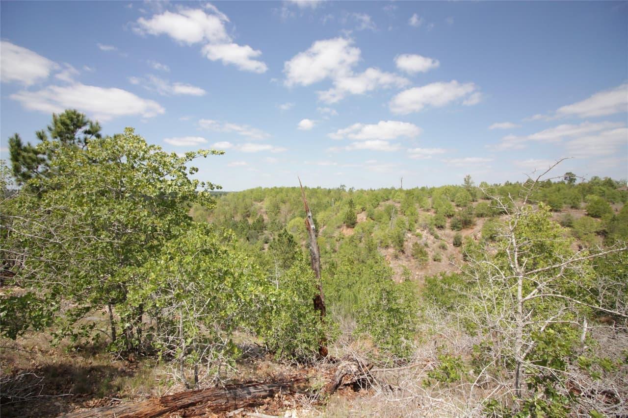 TBD  River Forest Dr photo 4