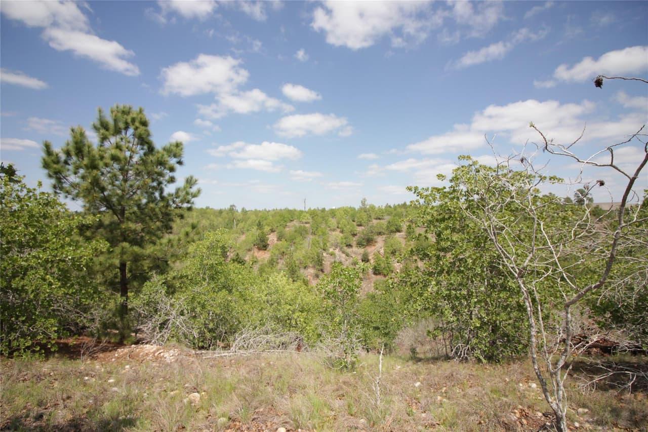 TBD  River Forest Dr photo 5