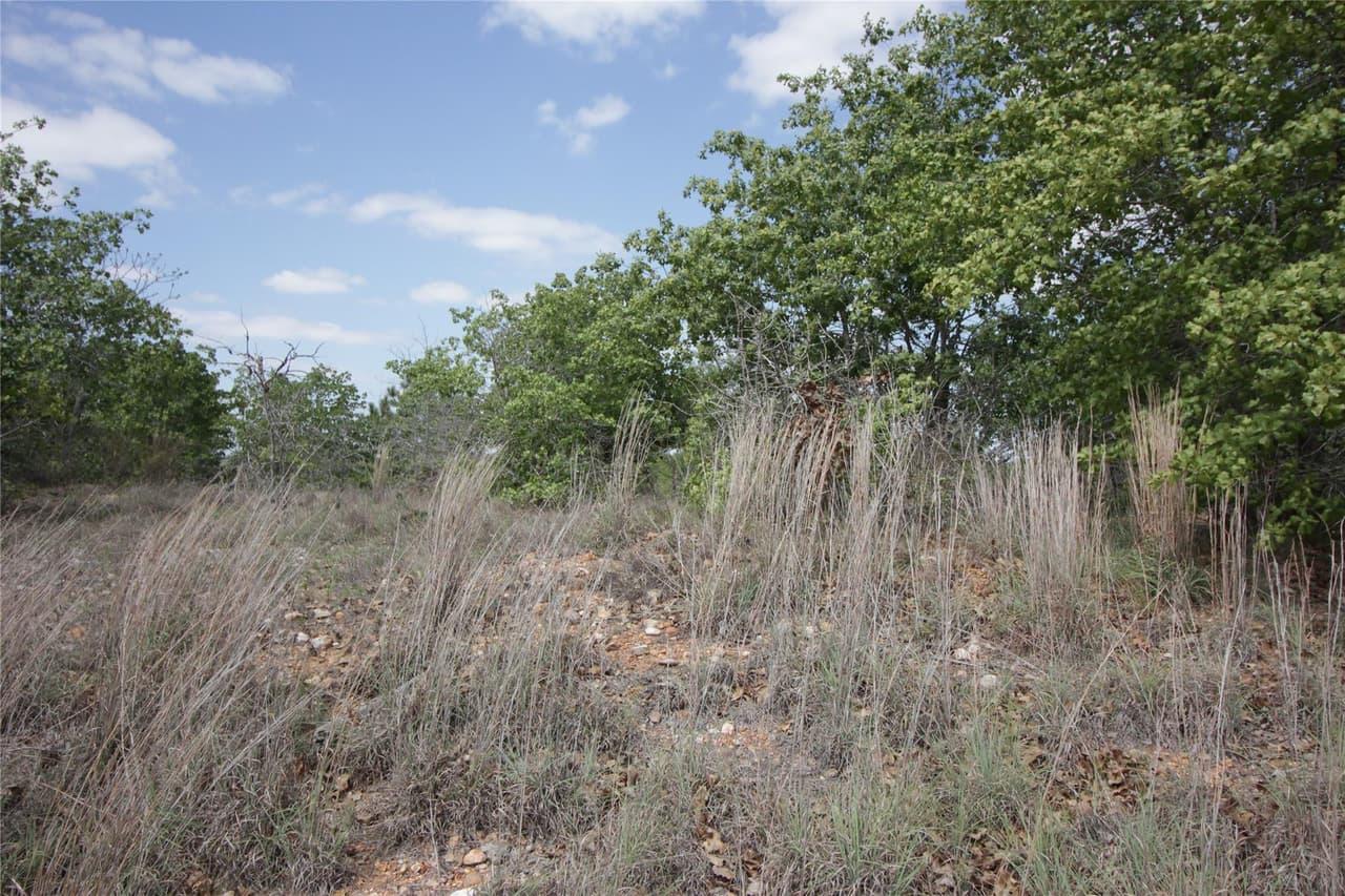 TBD  River Forest Dr photo 6