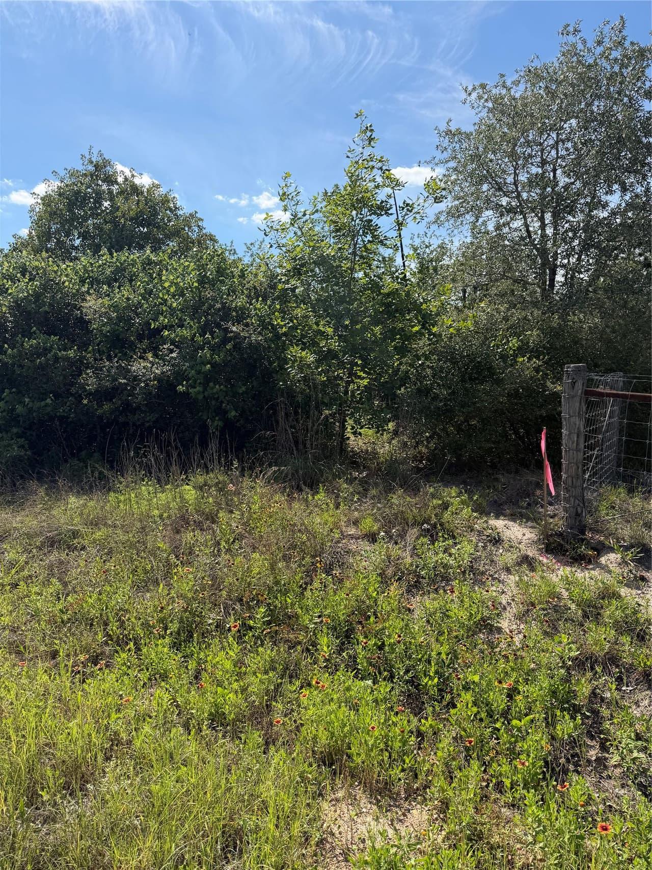 TBD  Mockingbird Ln photo 2