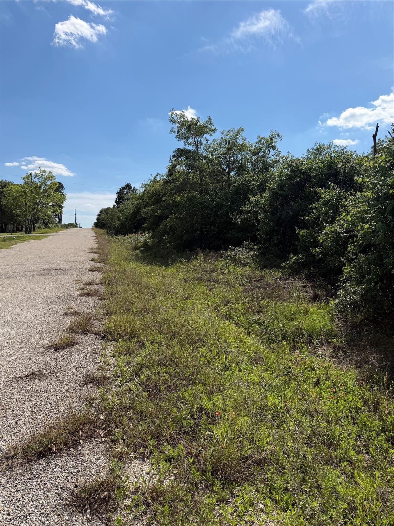 TBD  Mockingbird Ln photo 3