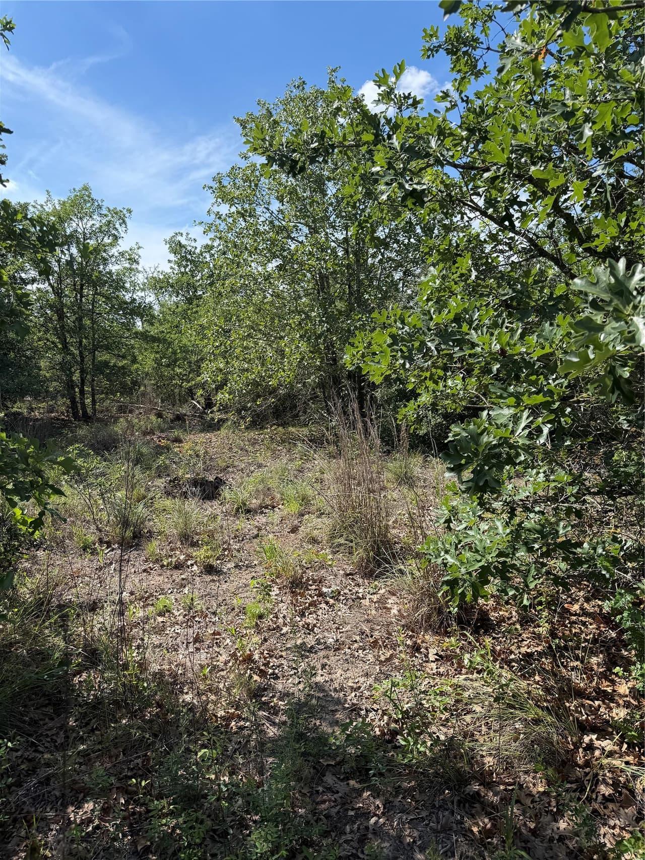 TBD  Mockingbird Ln photo 6