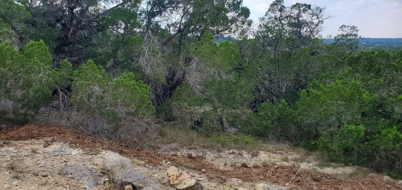 2303  Pace Bend Rd S photo 2