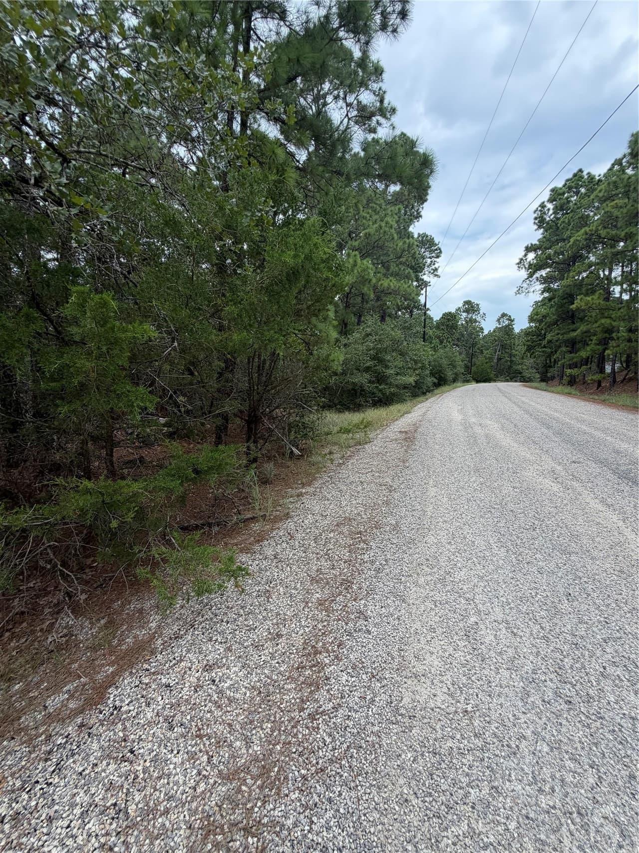 Lot 216  Hekili Dr photo 3