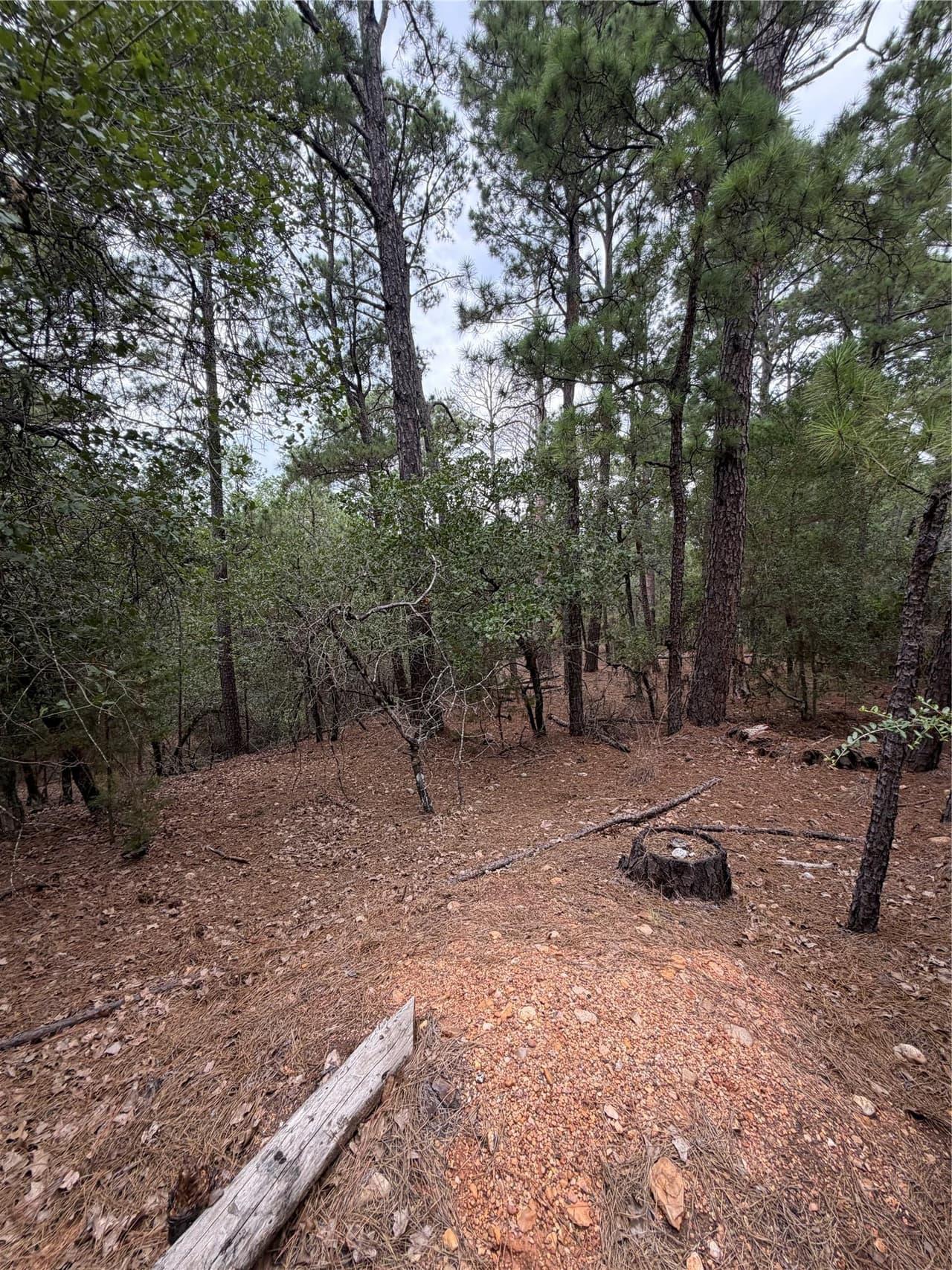 Lot 216  Hekili Dr photo 6