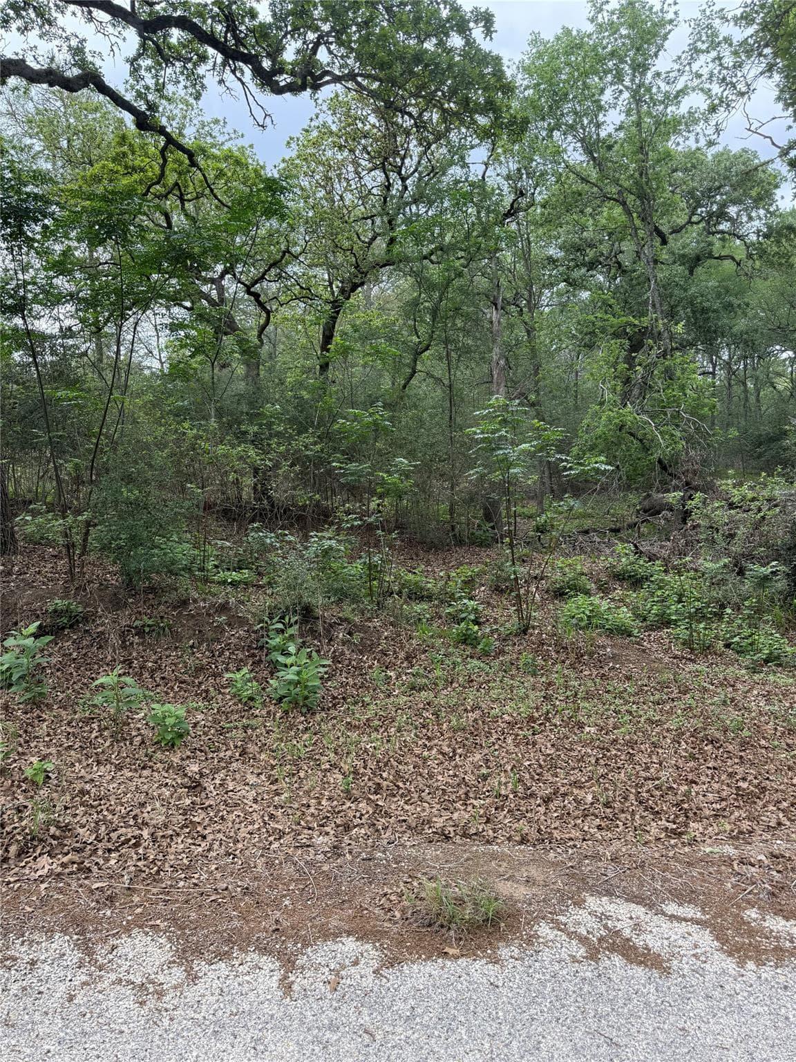 lot 70  Kaelepulu Dr photo 3