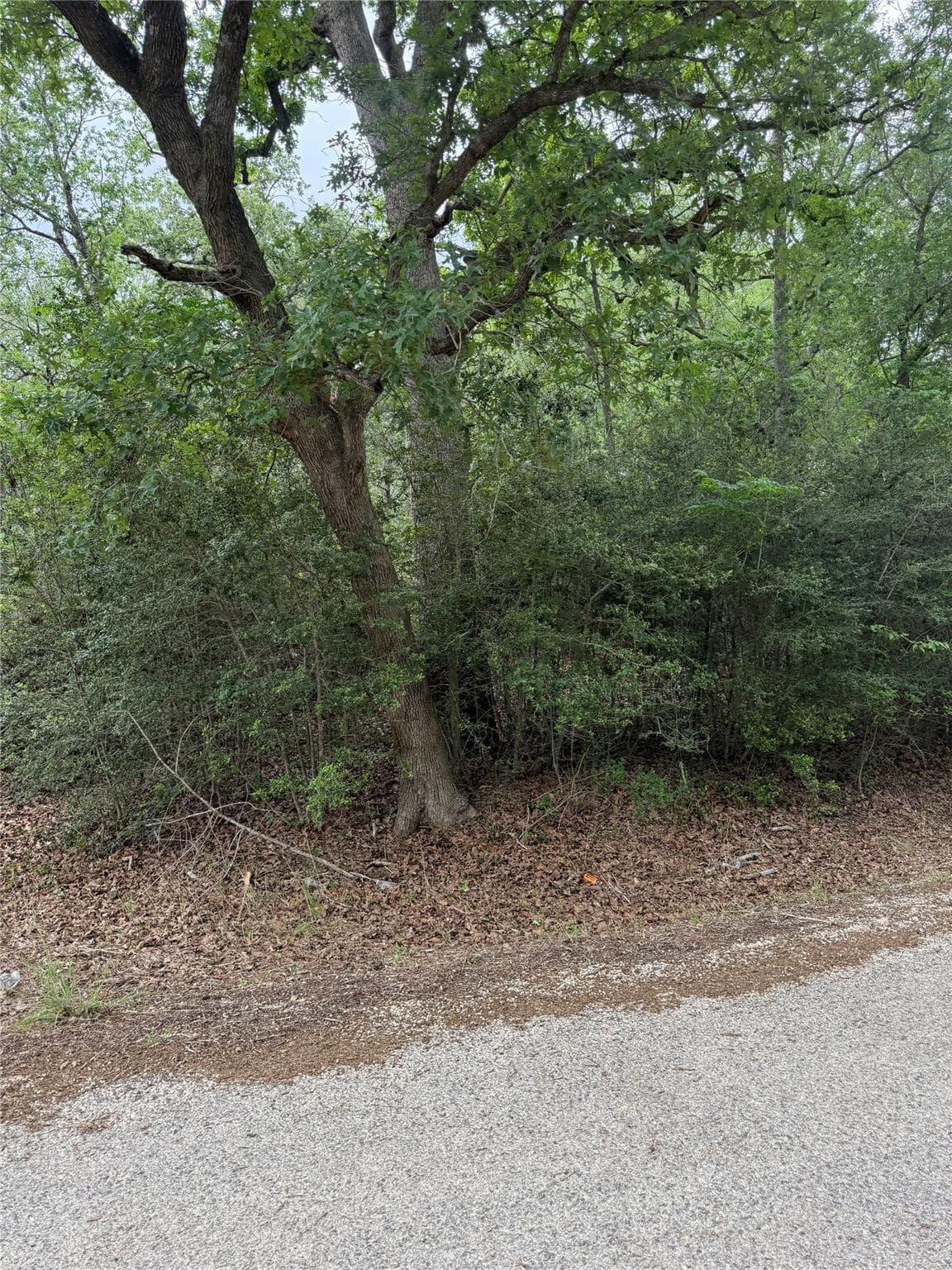 lot 70  Kaelepulu Dr photo 4