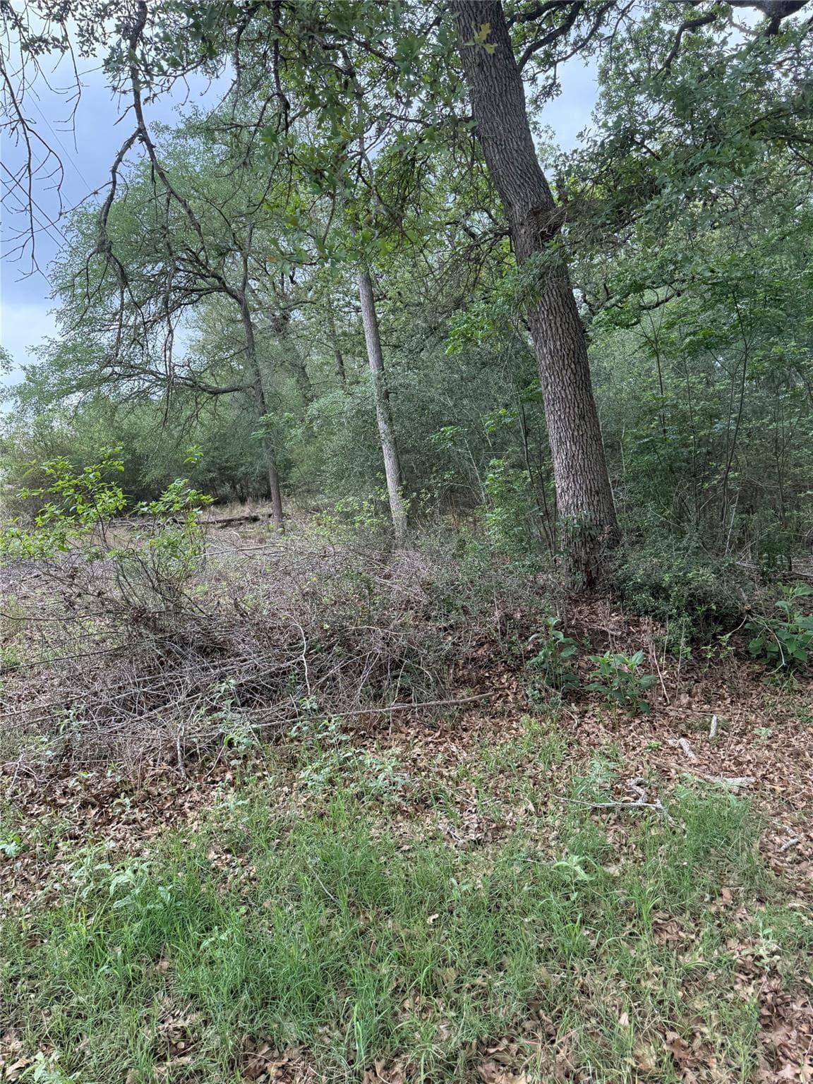 lot 70  Kaelepulu Dr photo 5