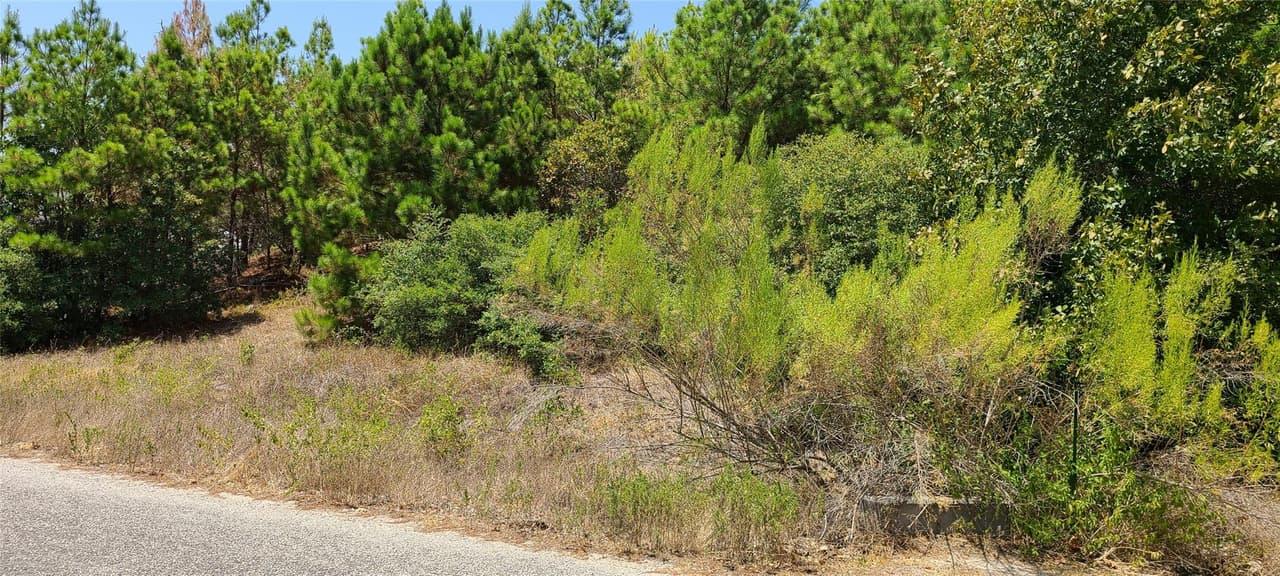 TBD  Tall Forest Dr photo 2