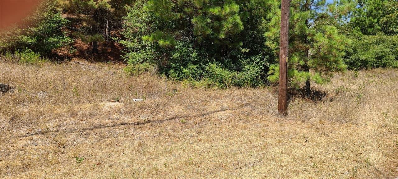TBD  Tall Forest Dr photo 3