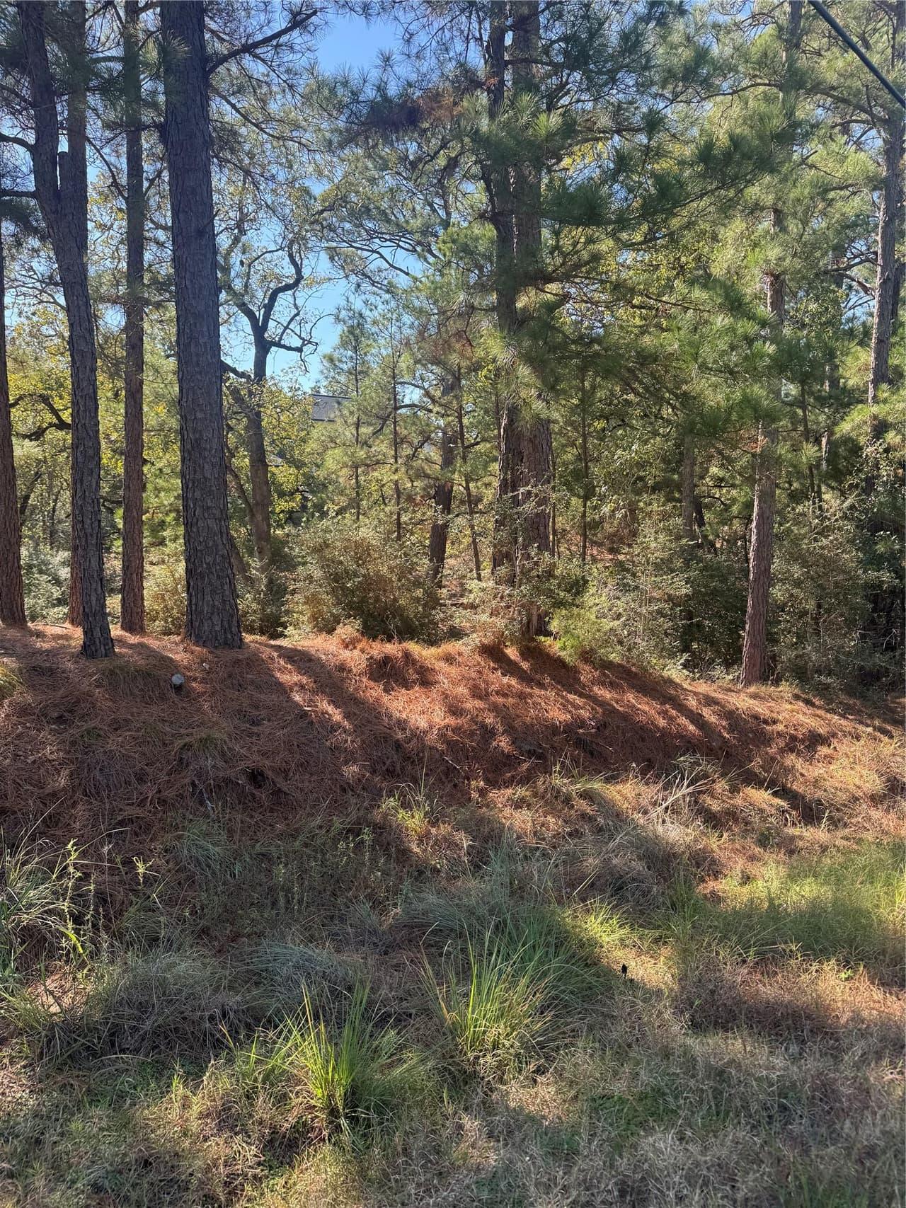 Lot 97  Kaelepulu Dr photo 2