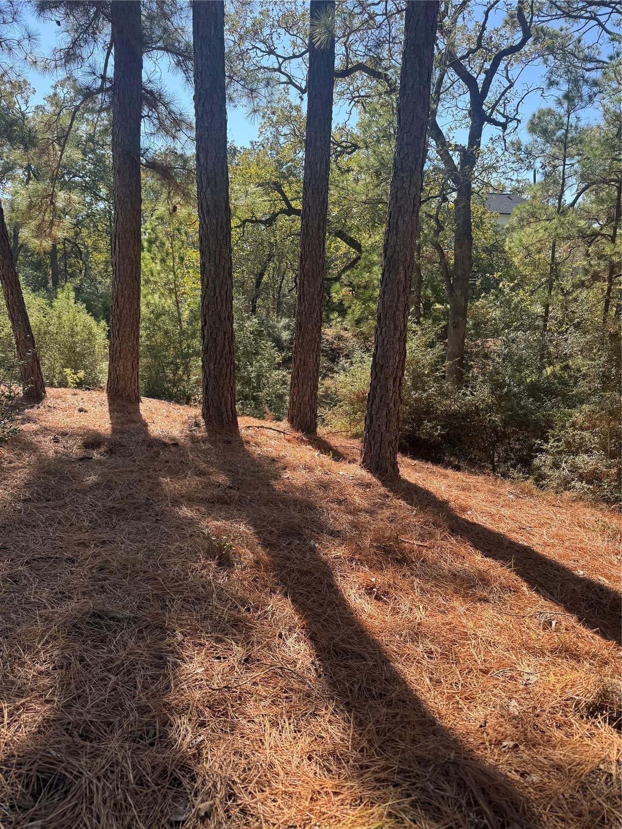 Lot 97  Kaelepulu Dr photo 4