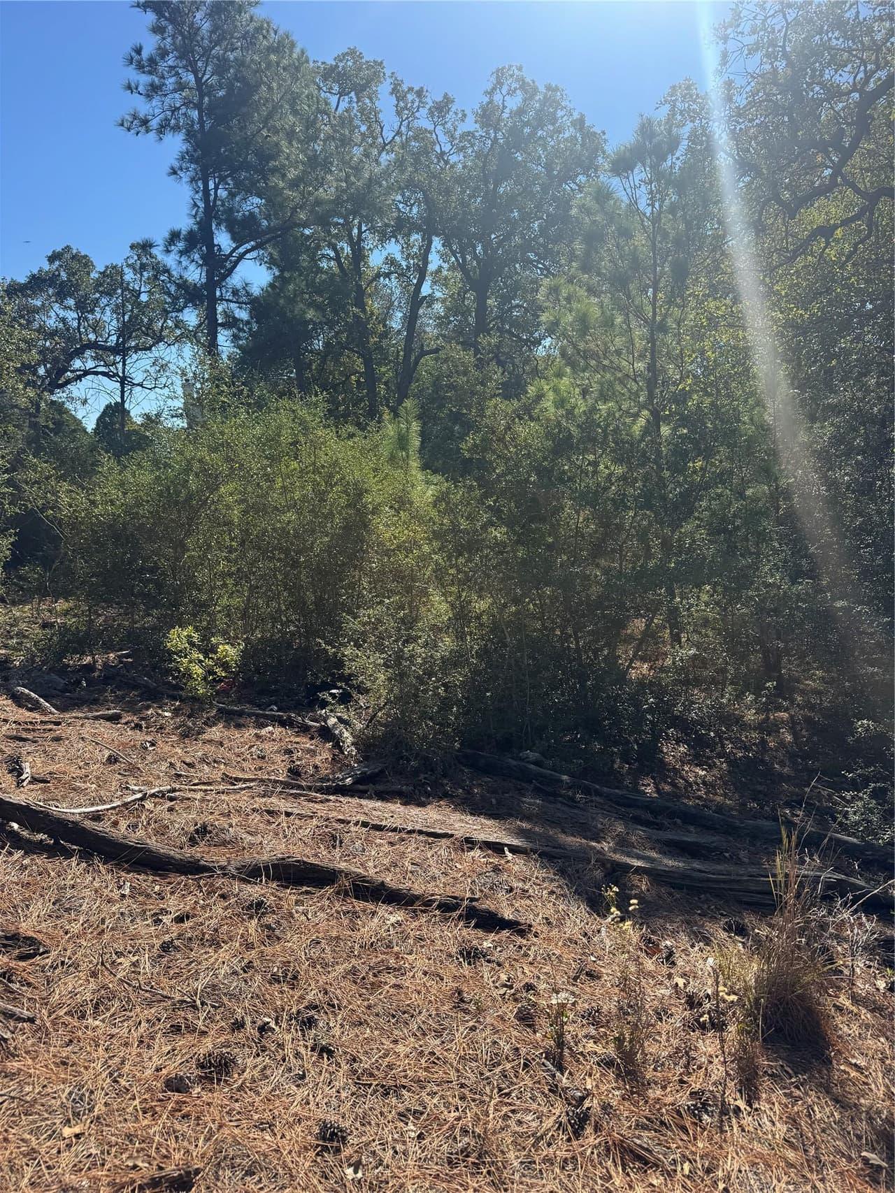 Lot 97  Kaelepulu Dr photo 5