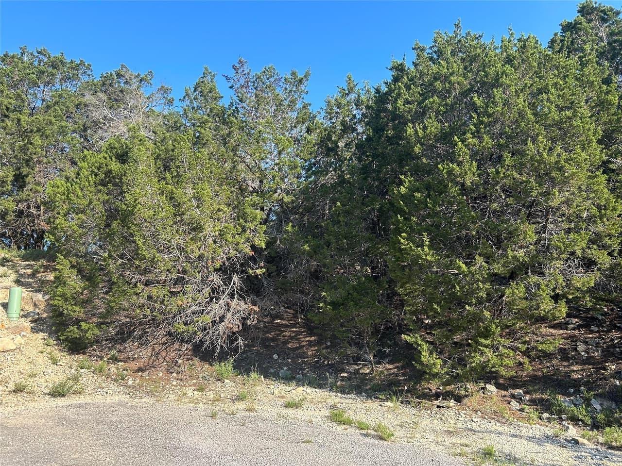 20804  Hawthorne Cv photo 3