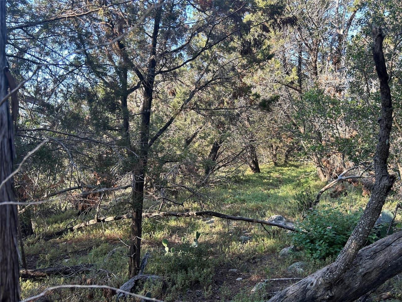20804  Hawthorne Cv photo 6