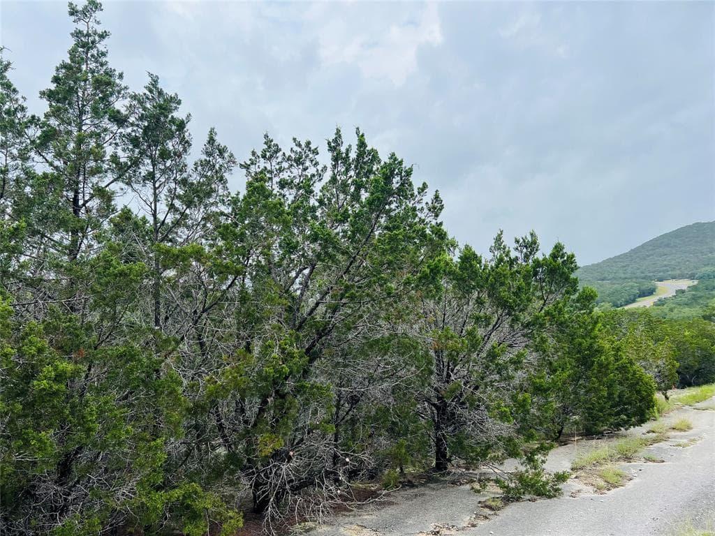 21603  Wyoming Pass photo 6