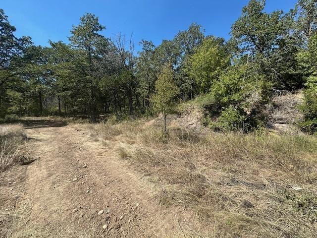 0 TBD lot 103  Ripple Brook Dr photo 2