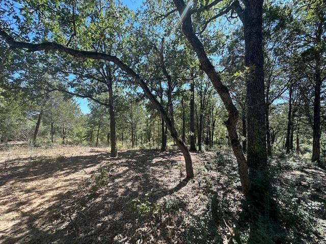 0 TBD lot 103  Ripple Brook Dr photo 4