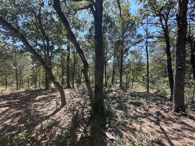0 TBD lot 103  Ripple Brook Dr photo 6