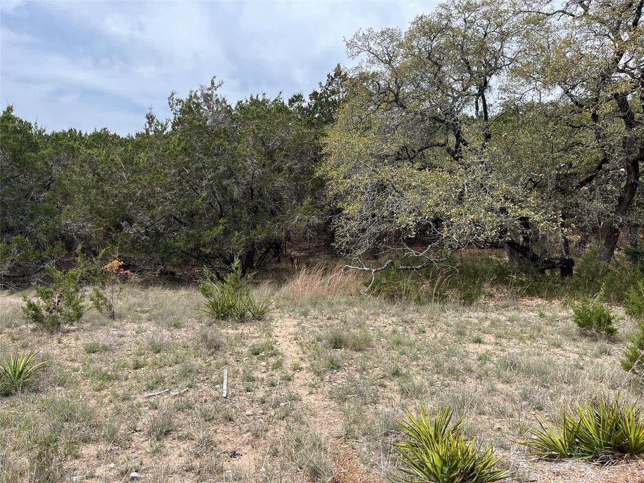 20715  Harrison Cv photo 3
