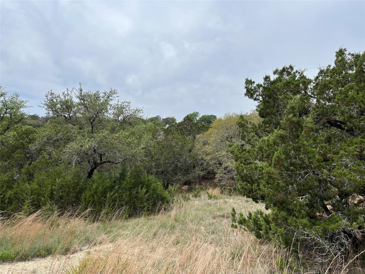 20715  Harrison Cv photo 5