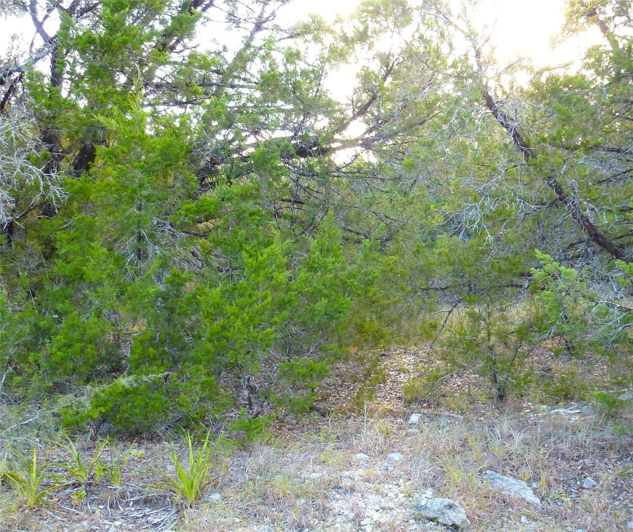 6302  Deer Run None photo 4