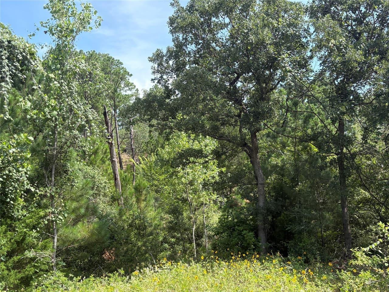 TBD  Kaena Ln photo 5